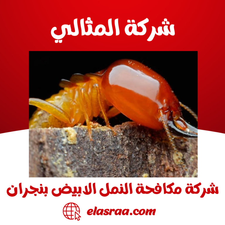 شركة مكافحة النمل الابيض بنجران