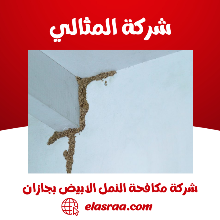 شركة مكافحة النمل الابيض بجازان