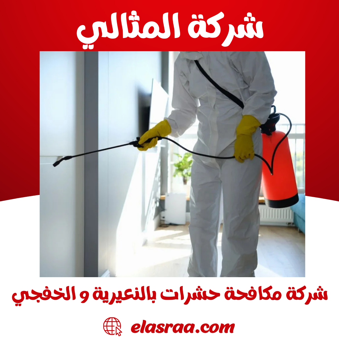 شركة مكافحة حشرات بالنعيرية والخفجي