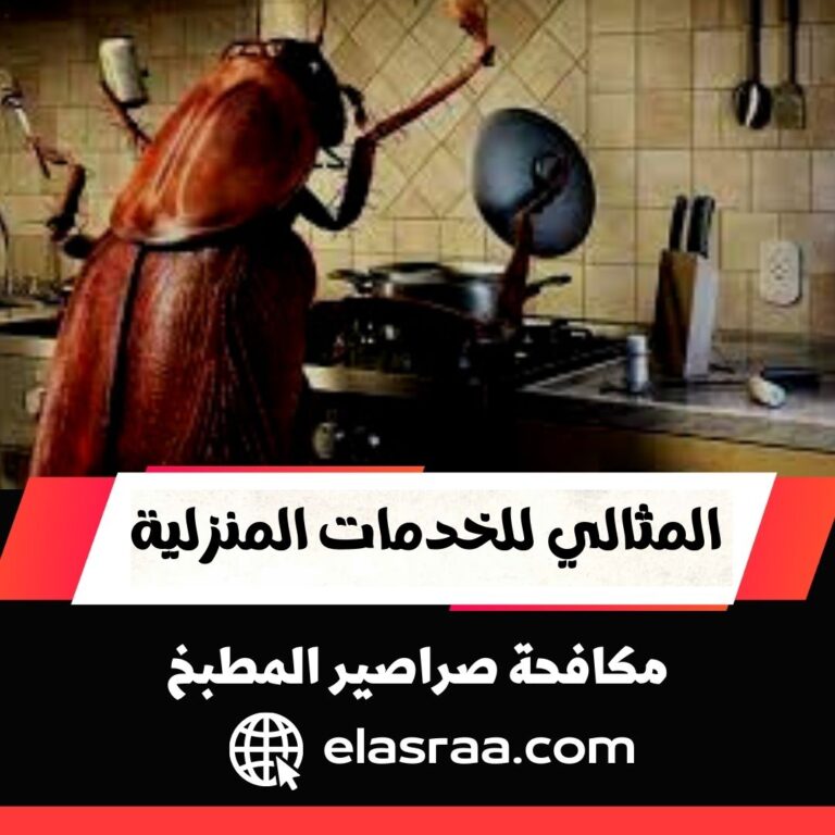 كيف تتخلص من الصراصير في المطبخ بشكل نهائي