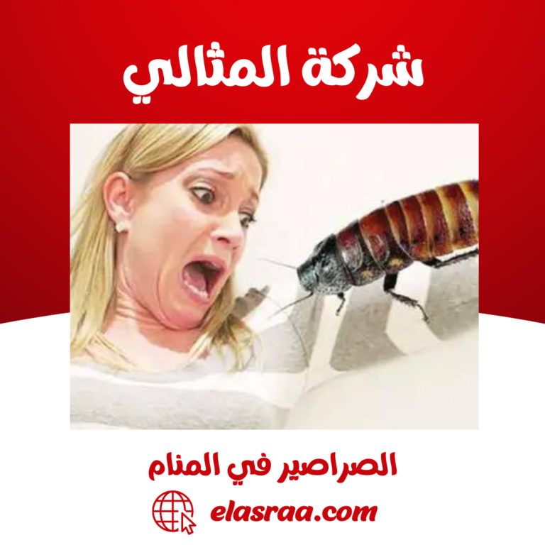 الصراصير في المنام