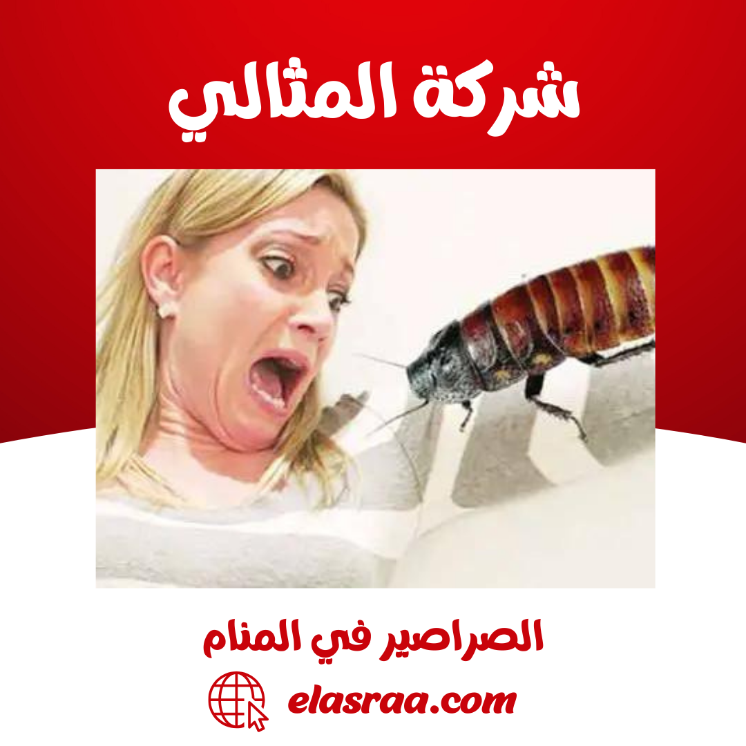 رؤية الصراصير في المنام للمتزوجه وقتلها