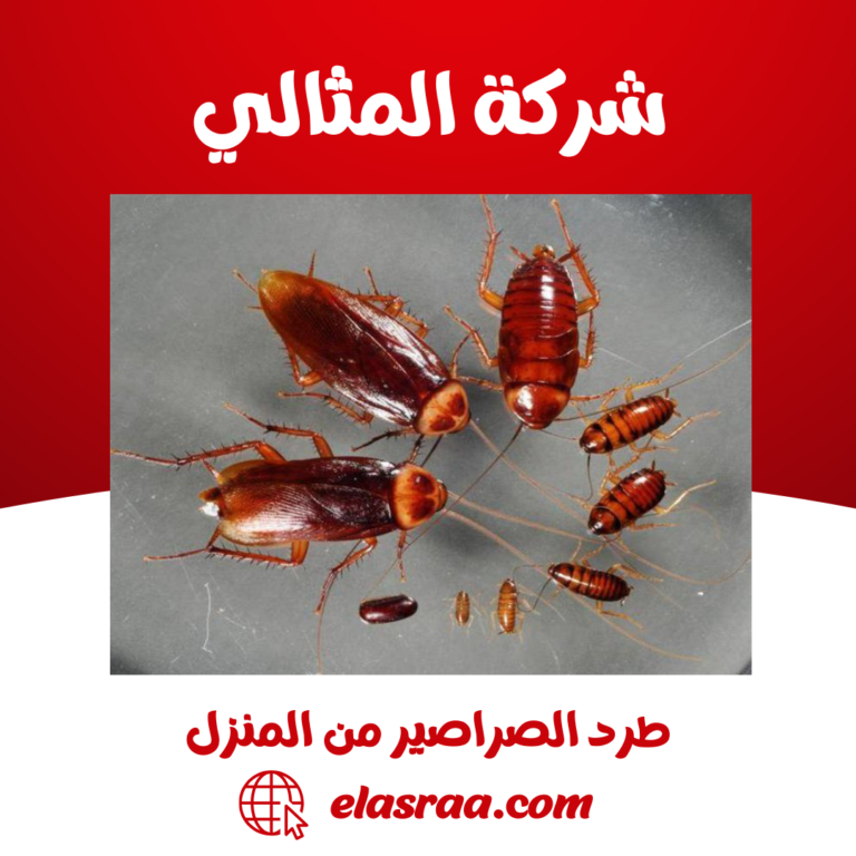 طرد الصراصير من المنزل