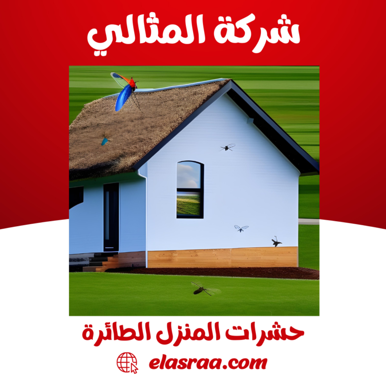 حشرات المنزل الطائرة