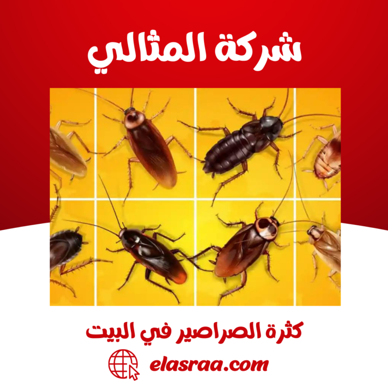 كثرة الصراصير في البيت