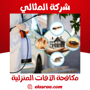 مكافحة الآفات المنزلية