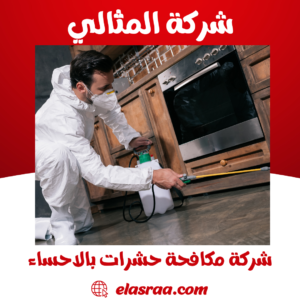 شركة مكافحة حشرات بالاحساء