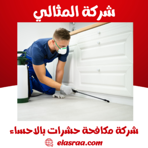 شركة مكافحة حشرات بالاحساء
