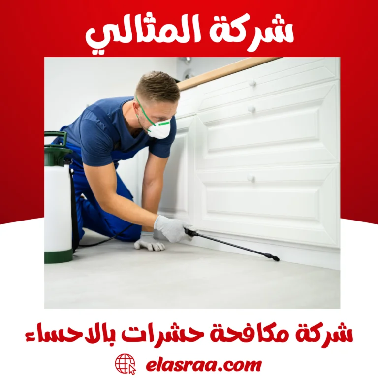 شركة مكافحة حشرات بالاحساء
