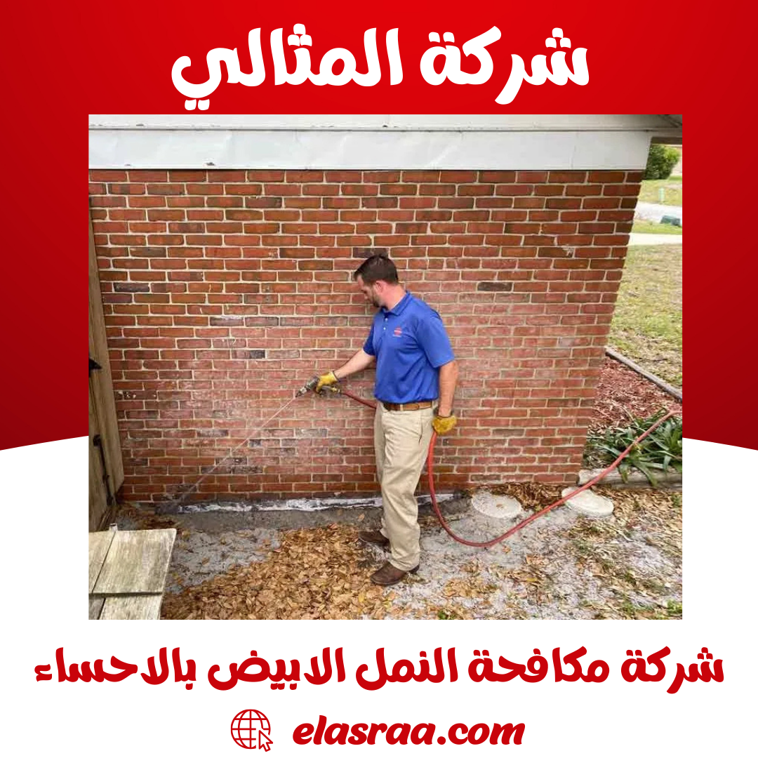 شركة مكافحة النمل الابيض بالاحساء