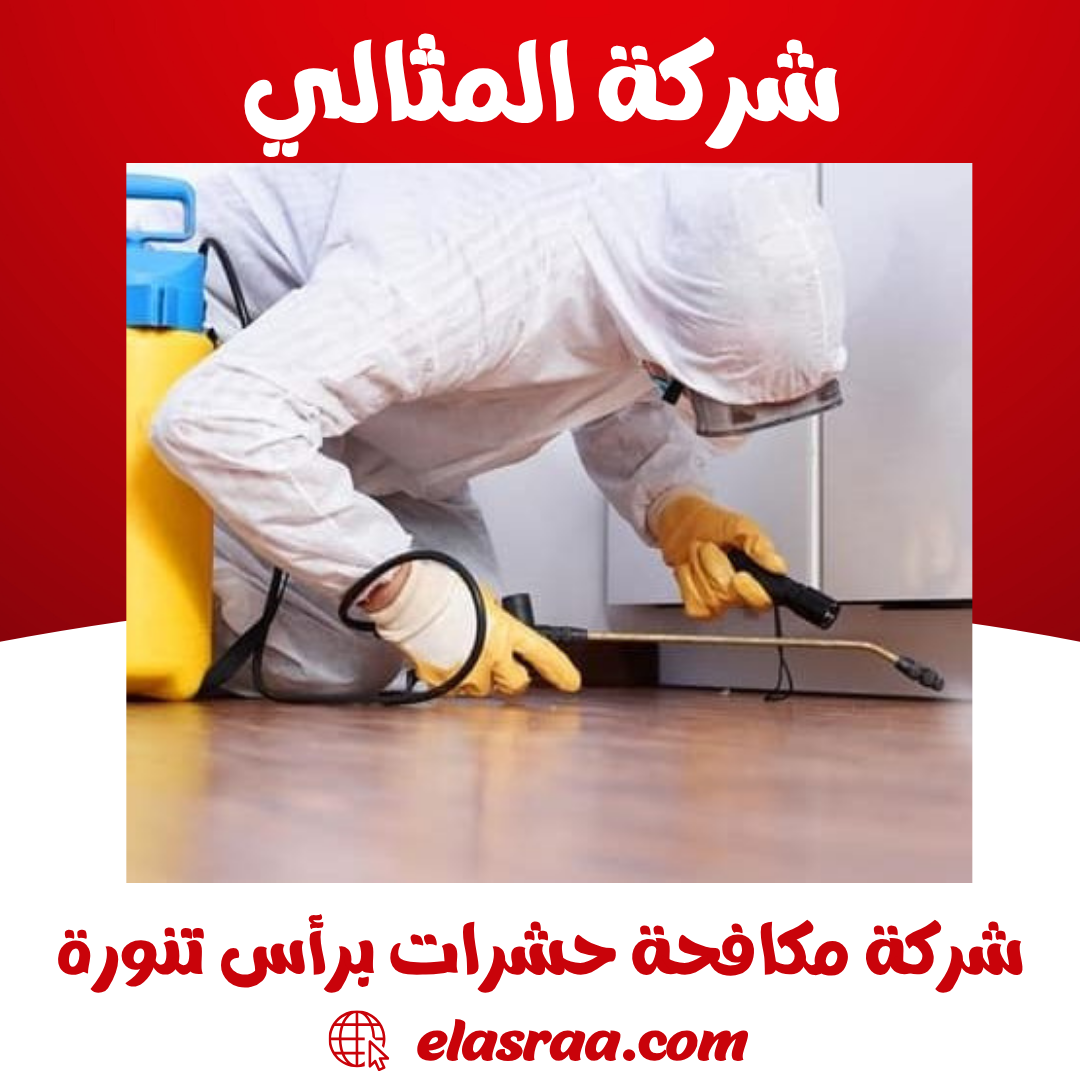 شركة مكافحة حشرات برأس تنورة شركة مكافحة حشرات برأس تنورة