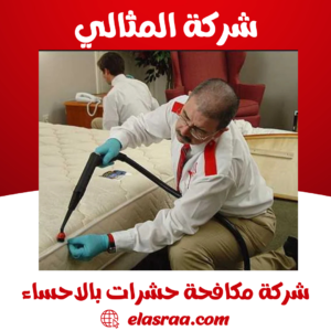 شركة رش حشرات بالاحساء