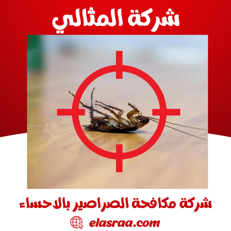 شركة مكافحة الصراصير بالاحساء