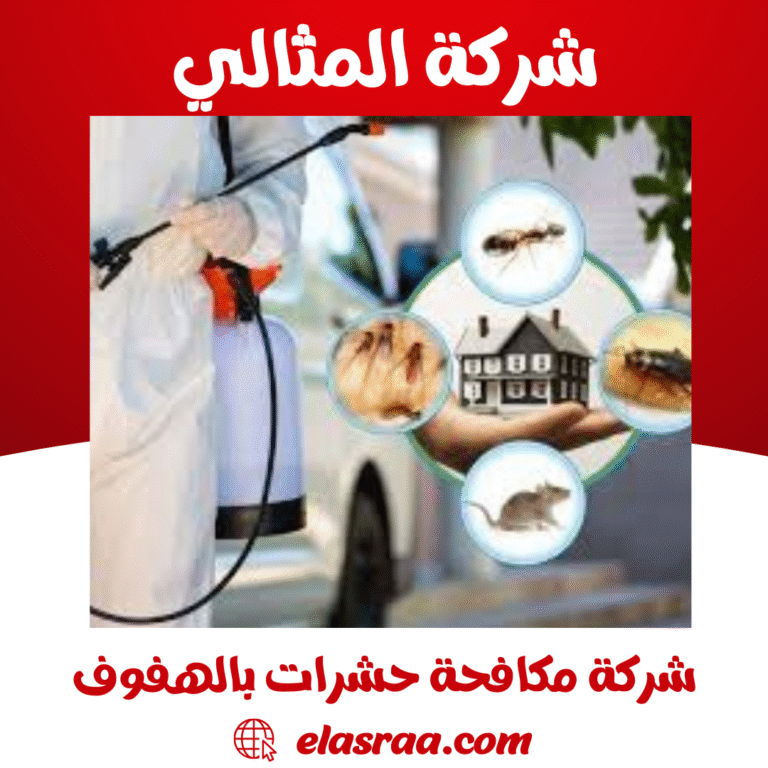 شركة مكافحة حشرات بالهفوف